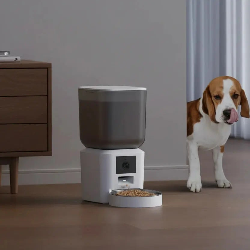 distributeur de croquettes connecté avec WiFi 5G et caméra HD Auralis