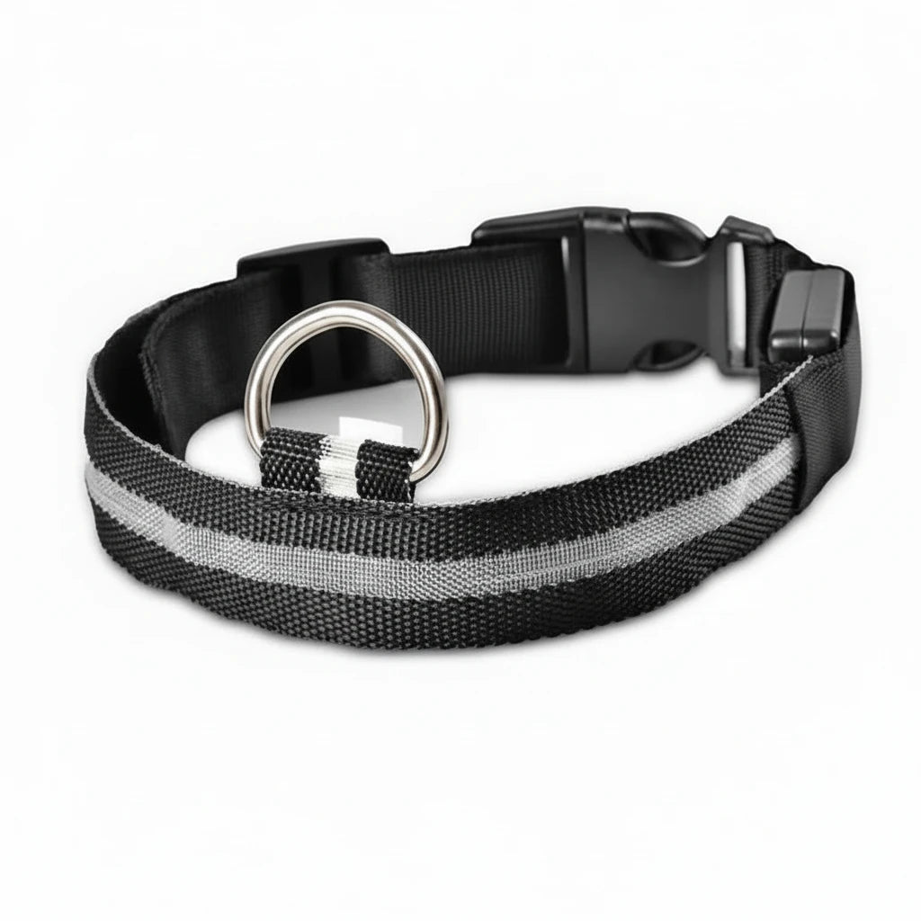 USB Rechargeable Pet Dog LED Glowing Collar Luminous Flashing Necklace Outdoor Walking Night Safety Supplies Auralis