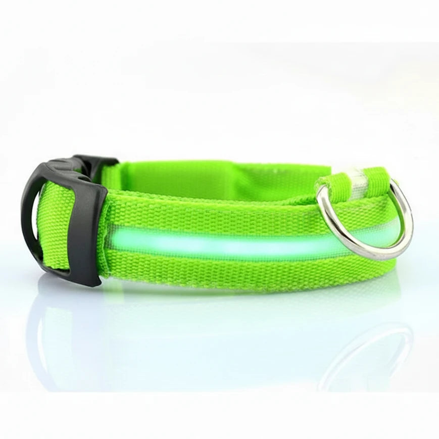 USB Rechargeable Pet Dog LED Glowing Collar Luminous Flashing Necklace Outdoor Walking Night Safety Supplies Auralis