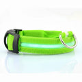USB Rechargeable Pet Dog LED Glowing Collar Luminous Flashing Necklace Outdoor Walking Night Safety Supplies Auralis