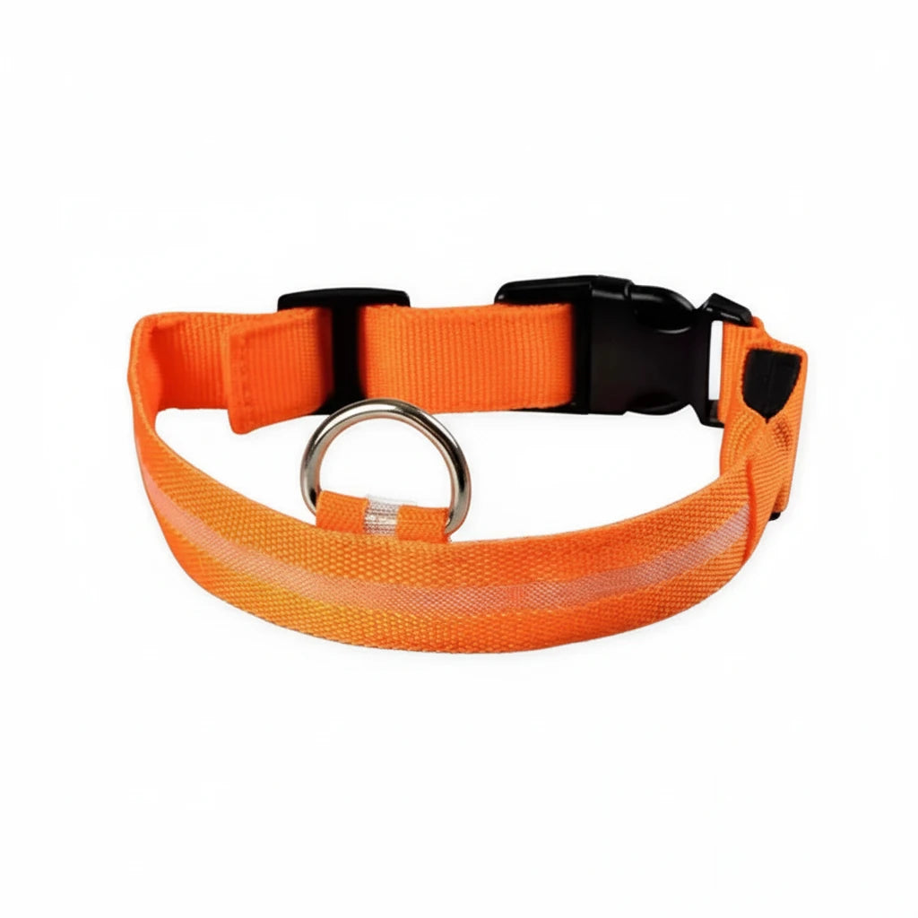 USB Rechargeable Pet Dog LED Glowing Collar Luminous Flashing Necklace Outdoor Walking Night Safety Supplies Auralis