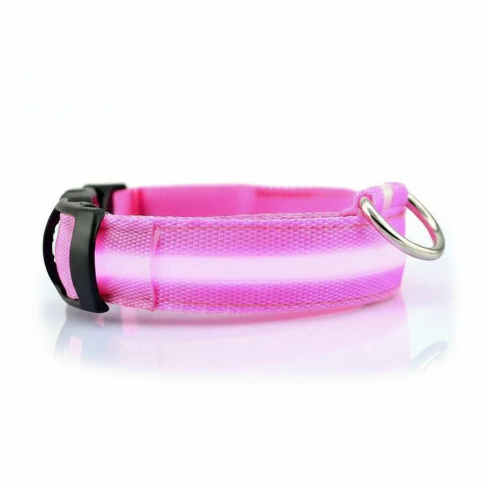 USB Rechargeable Pet Dog LED Glowing Collar Luminous Flashing Necklace Outdoor Walking Night Safety Supplies Auralis