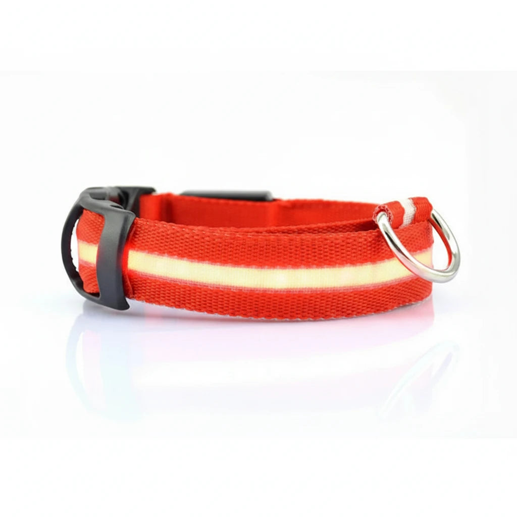 USB Rechargeable Pet Dog LED Glowing Collar Luminous Flashing Necklace Outdoor Walking Night Safety Supplies Auralis