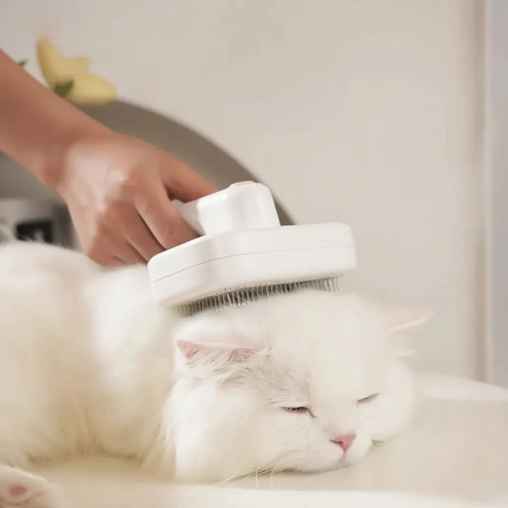 Pet Clean Brush One-Key Hair Removal Negative Ion Electric Self Cleaning Slickers Brush For Cats Dogs Grooming Brush Hair Comb Auralis