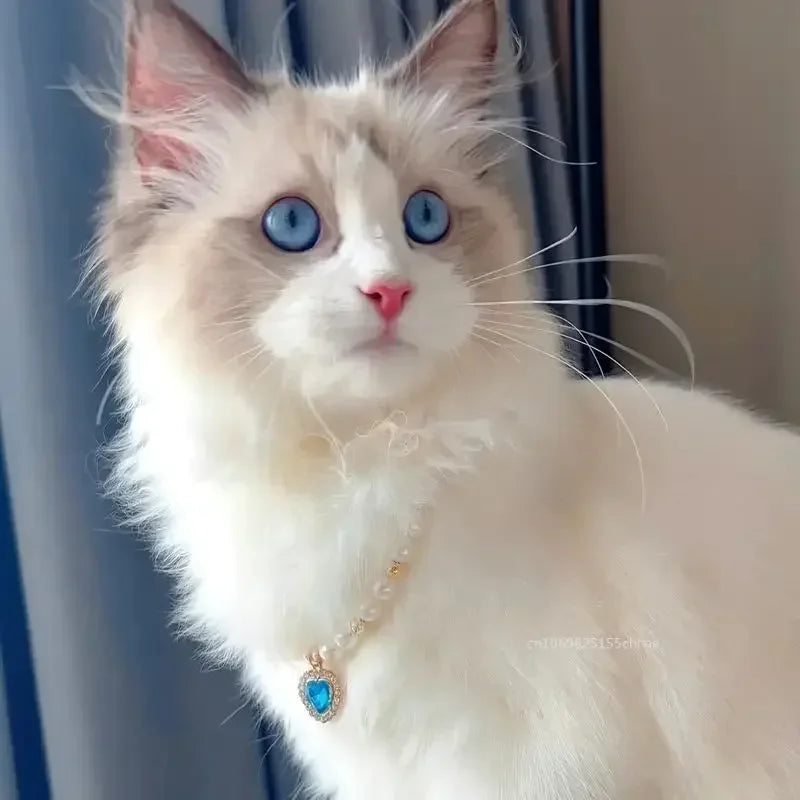 Pet Pearl Collar Dog Princess Necklace Cat Jewelry Cute Collar Puppy Accessories Dog Kitten Chain Chihuahua Wedding Jewelry Gift Auralis