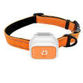 Mini Pet GPS Tracker Global 4G LTE Smart Anti Lost Device with SOS Alert and Geo Fence History Route for Cats Dogs iOS Android Auralis