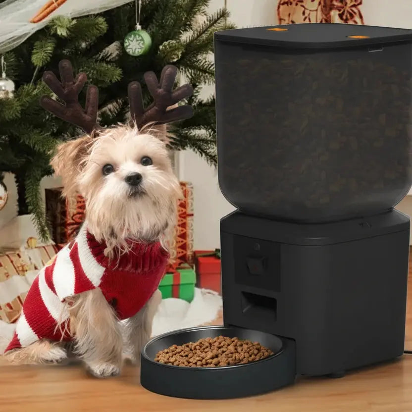 distributeur de croquettes connecté avec WiFi 5G et caméra HD Auralis