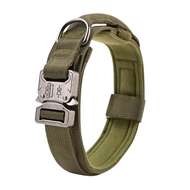 Outdoor Sports Style Tactical Dog Collar Usable Collar For Medium To Large Dogs With Traction Capability for Dog Training Auralis