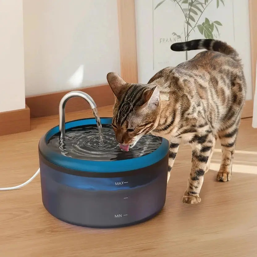 Fontaine à eau automatique pour chat et chien – 6 filtres offerts Auralis-Velourstyle