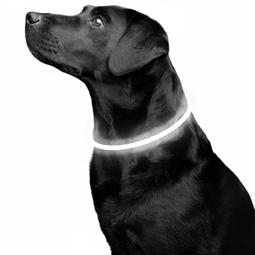 Led Luminous Dog Collar Light USB Charging Necklace, Flashing DIY Glowing Safety Anti Lost Cat Dogs Collar Accessories Supplies Auralis