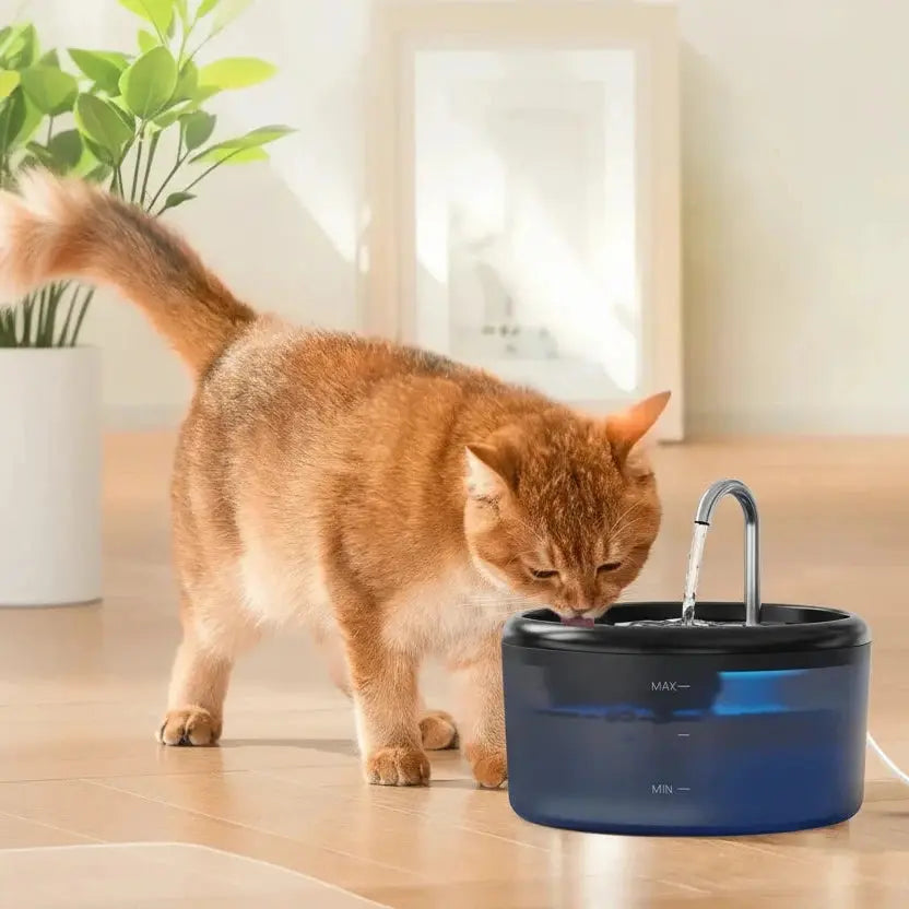 Fontaine à eau automatique pour chat et chien – 6 filtres offerts Auralis-Velourstyle