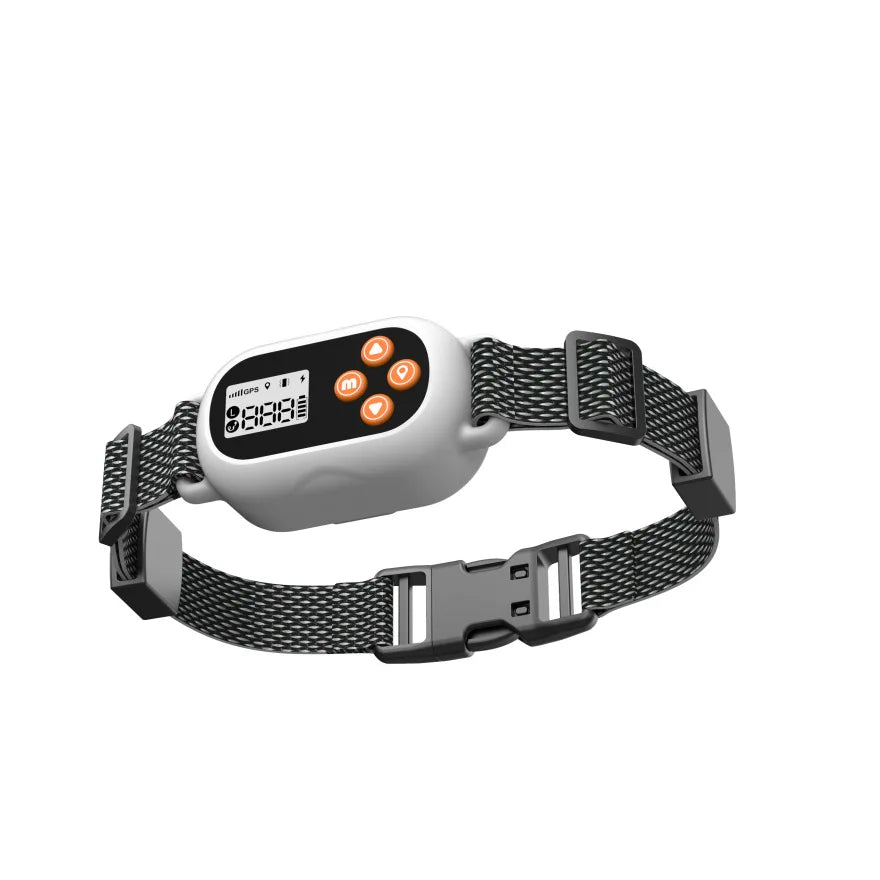 Smart GPS Pet Electronic Fence Wireless Pet Enclosure Waterproof Outdoor Training Collar for Dogs Pet Products Accessories Auralis
