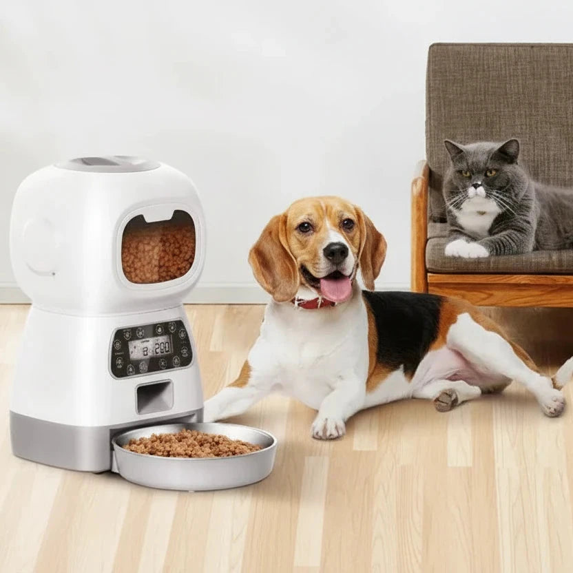 Distributeur de croquettes grande capacité avec minuterie Auralis