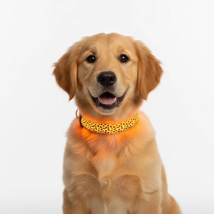 Leopard LED Dog Collar Luminous Adjustable Glowing Collar For Dogs Pet Night Safety Nylon Collar Luminous LED Bright Dog Collar Auralis