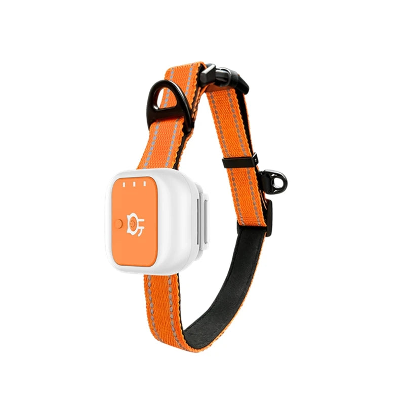 Mini Pet GPS Tracker Global 4G LTE Smart Anti Lost Device with SOS Alert and Geo Fence History Route for Cats Dogs iOS Android Auralis