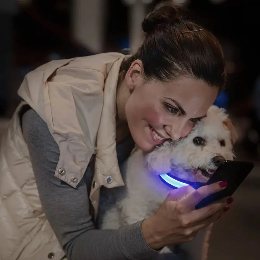 Collier chien GPS Apple AirTag Auralis