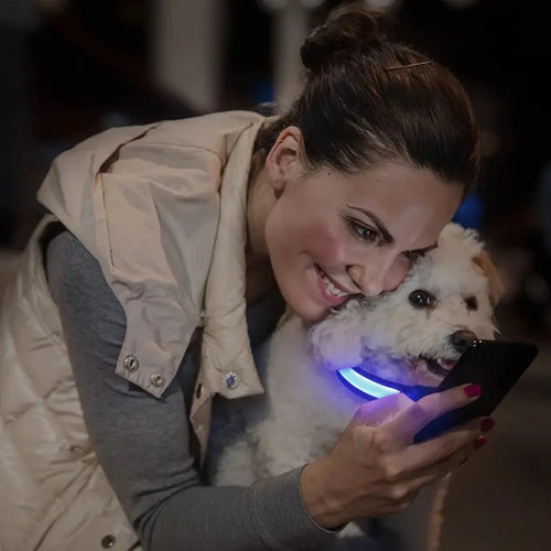 Collier chien GPS Apple AirTag Auralis