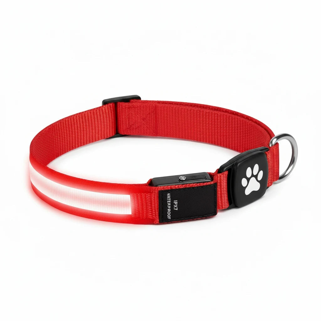 Collier chien GPS Apple AirTag Auralis