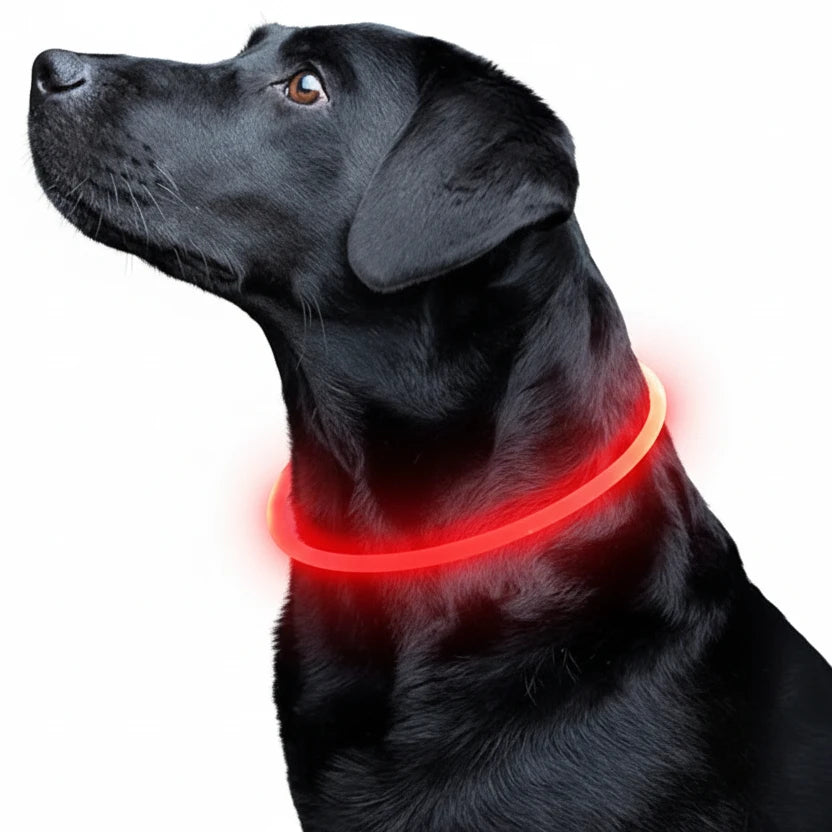Led Luminous Dog Collar Light USB Charging Necklace, Flashing DIY Glowing Safety Anti Lost Cat Dogs Collar Accessories Supplies Auralis