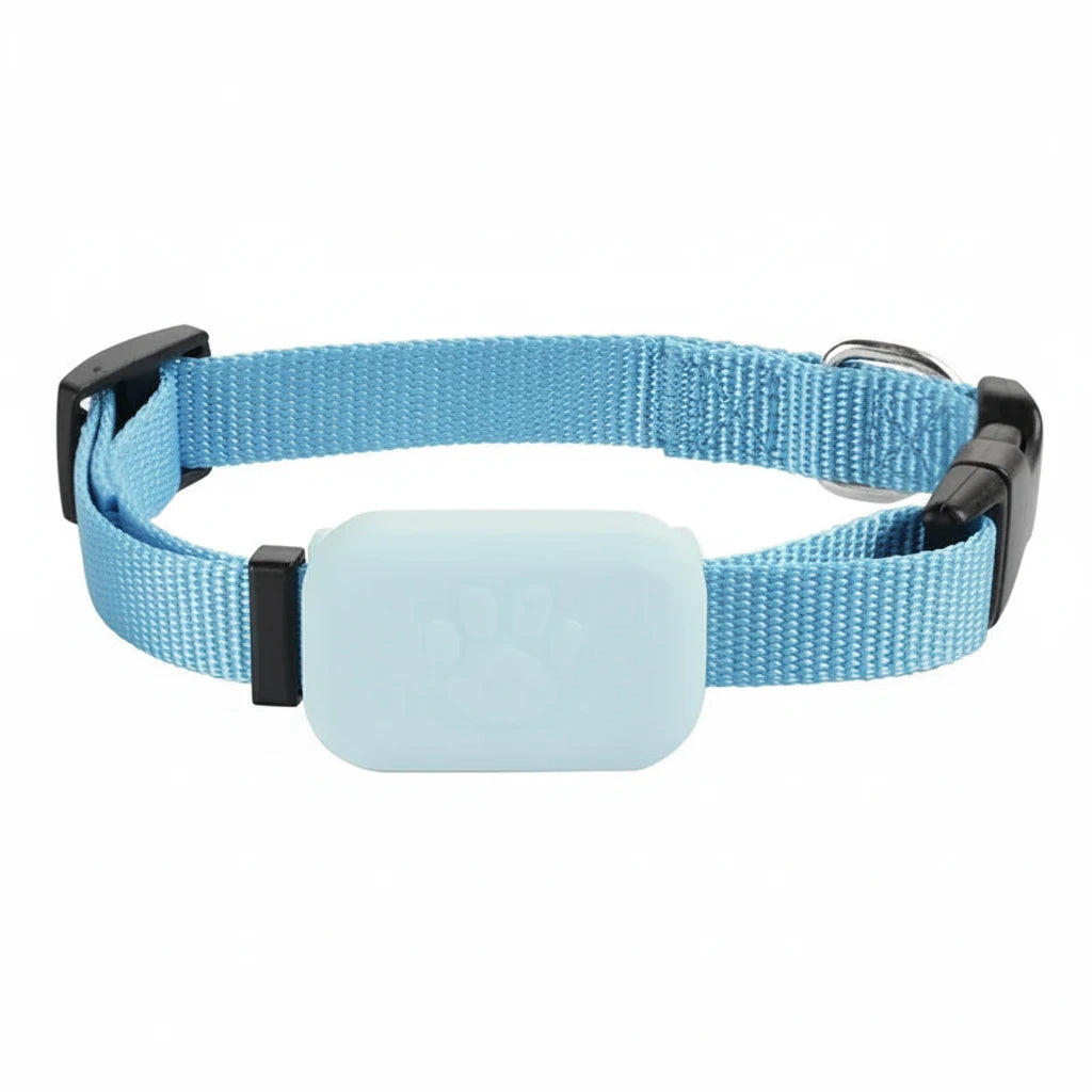Collier GPS pour chat avec localisation et protection Auralis