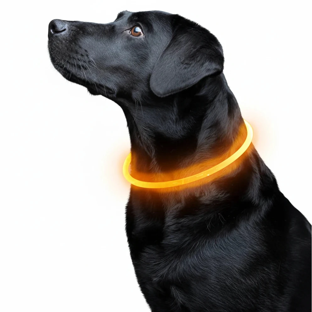 Led Luminous Dog Collar Light USB Charging Necklace, Flashing DIY Glowing Safety Anti Lost Cat Dogs Collar Accessories Supplies Auralis