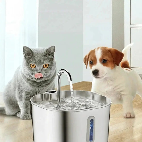 Fontaine à eau automatique pour chat Auralis-Velourstyle