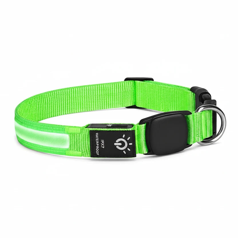 Collier chien GPS Apple AirTag Auralis
