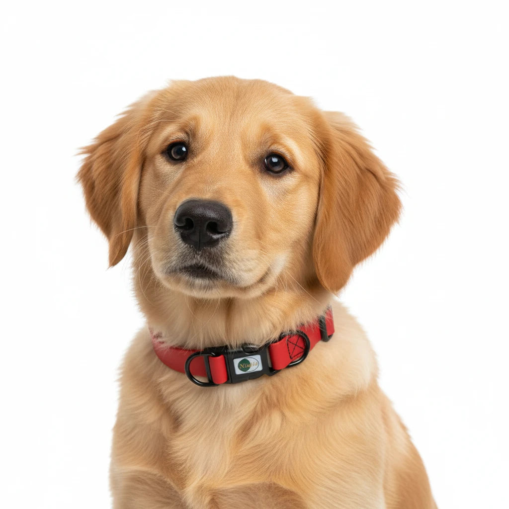 New High quality pet dog collar PVC waterproof Cat collar anti dirty easy to clean for Big small dogs puppy pet products Auralis