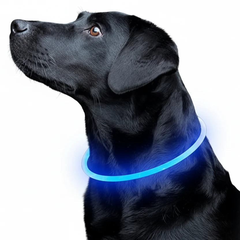 Led Luminous Dog Collar Light USB Charging Necklace, Flashing DIY Glowing Safety Anti Lost Cat Dogs Collar Accessories Supplies Auralis
