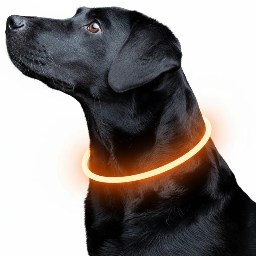 Led Luminous Dog Collar Light USB Charging Necklace, Flashing DIY Glowing Safety Anti Lost Cat Dogs Collar Accessories Supplies Auralis