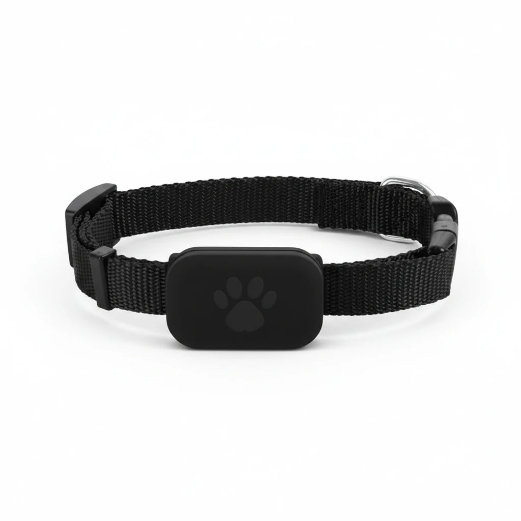 Collier GPS pour chat avec localisation et protection Auralis