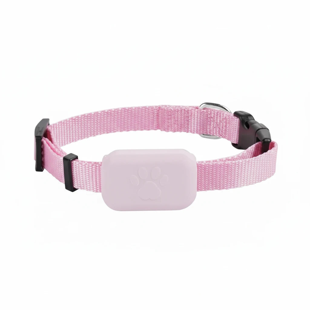 Collier GPS pour chat avec localisation et protection Auralis