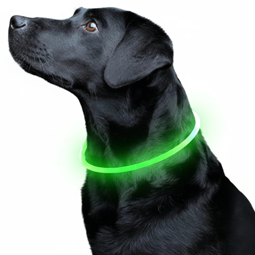 Led Luminous Dog Collar Light USB Charging Necklace, Flashing DIY Glowing Safety Anti Lost Cat Dogs Collar Accessories Supplies Auralis
