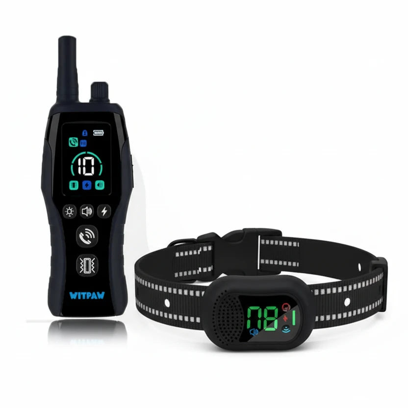 Dog Training Collar 6500FT with Remote Innovative IPX7 Waterproof with 4 Training Modes Rechargeable E-Collar for All Breeds Auralis