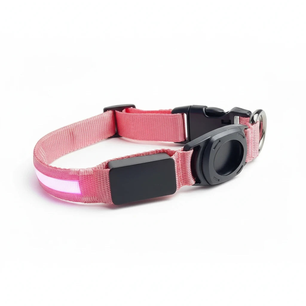 Collier chien GPS Apple AirTag Auralis