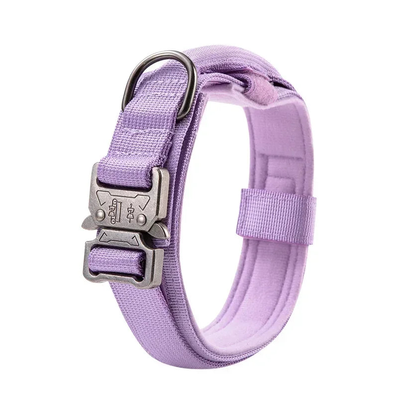 Outdoor Sports Style Tactical Dog Collar Usable Collar For Medium To Large Dogs With Traction Capability for Dog Training Auralis